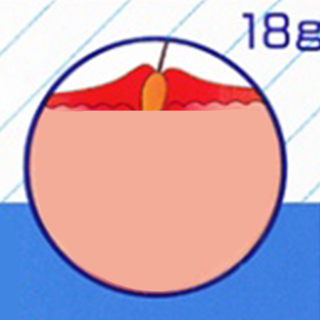 團購編號46(白兔瘡18)