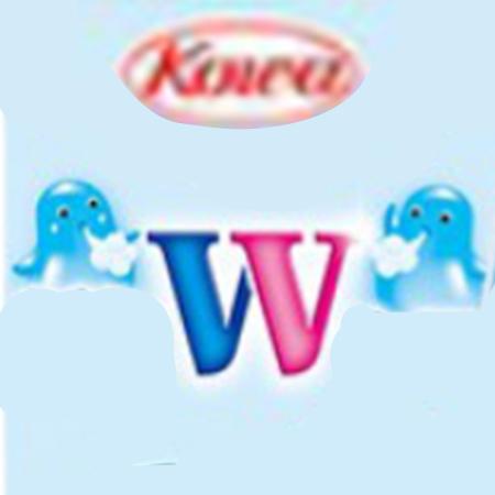 團購編號28(Kowa W水)