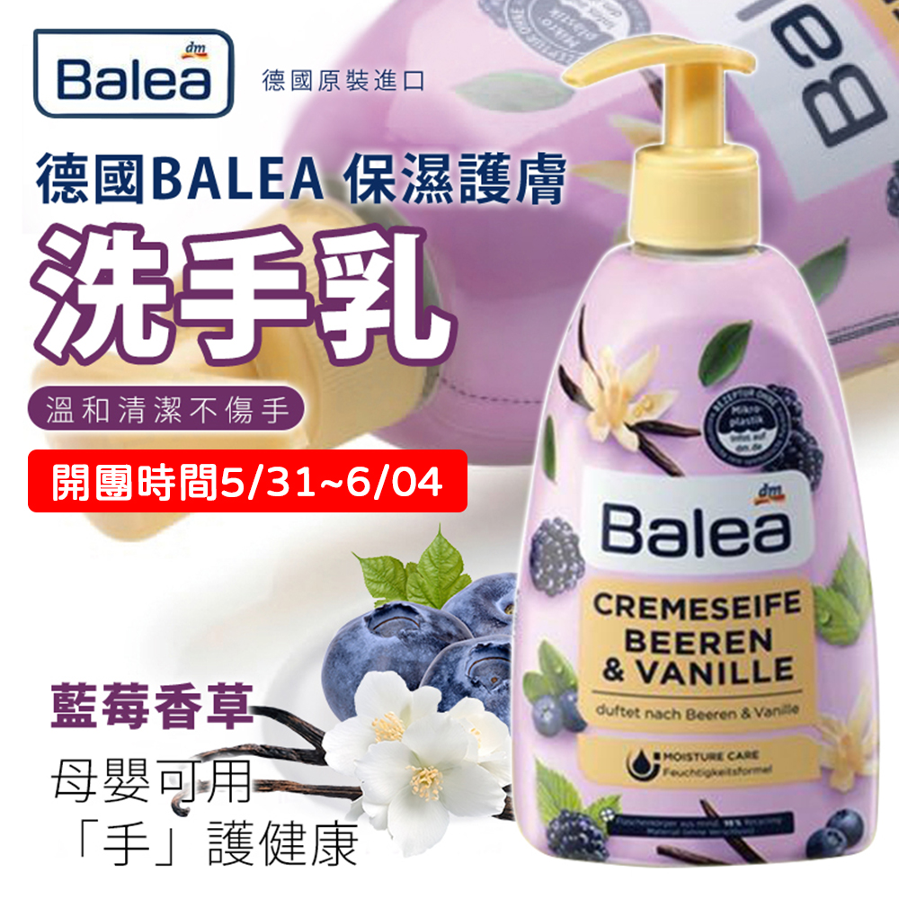 德國 dm 藍莓香草保濕護膚洗手乳 500ml 溫和 清潔 天然 中性