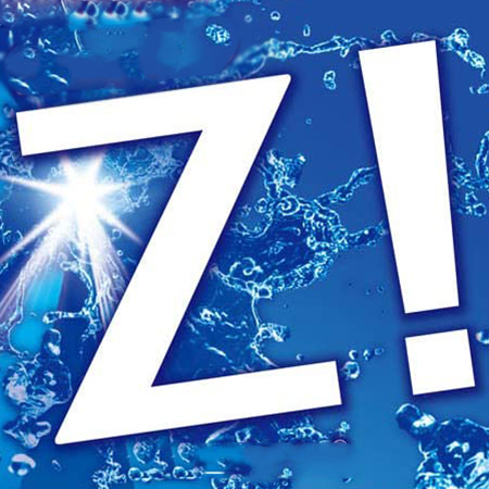 團購編號40(敦勁Z)